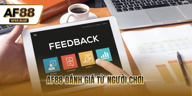 AF88 Đánh Giá Từ Người Chơi - Nền Tảng Giải Trí Chất Lượng