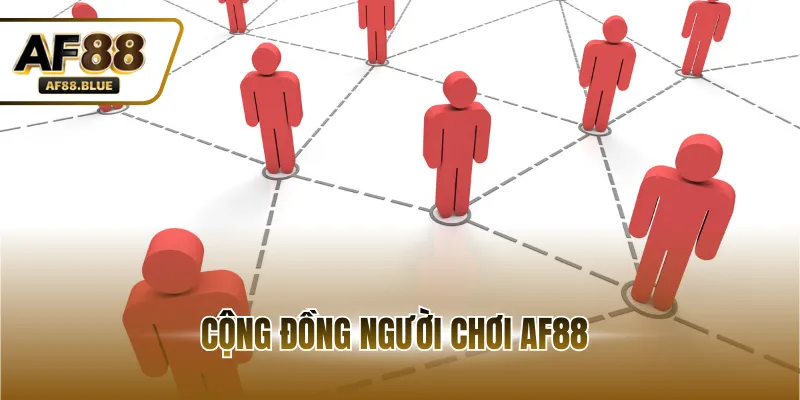 Cộng Đồng Người Chơi AF88 - Nơi Kết Nối Đam Mê Cá Cược