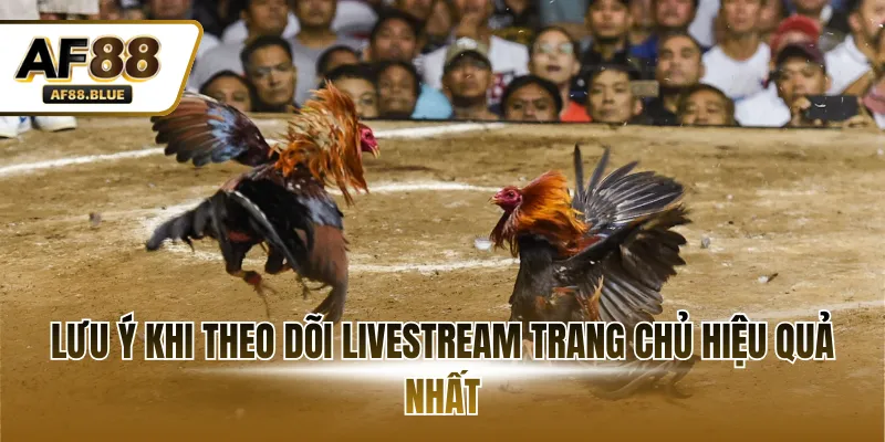 Lưu ý khi theo dõi livestream trang chủ hiệu quả nhất